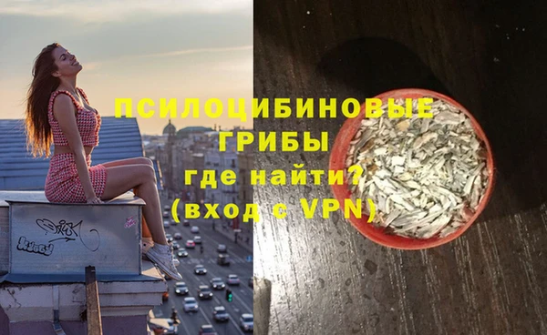 spice Алексин